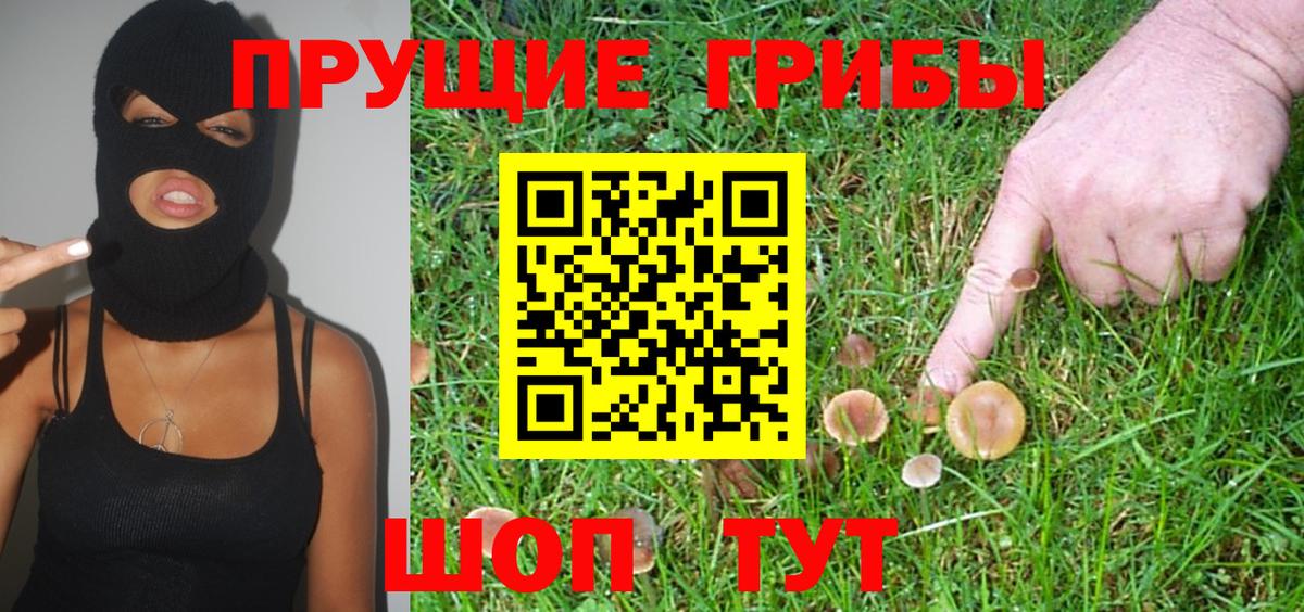 Воскресенск  что такое наркотик  Вход с VPN  Галлюциногенные грибы Cubensis 